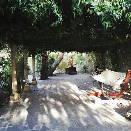 Cala Cavone Guest House Ponza Ngoại thất bức ảnh